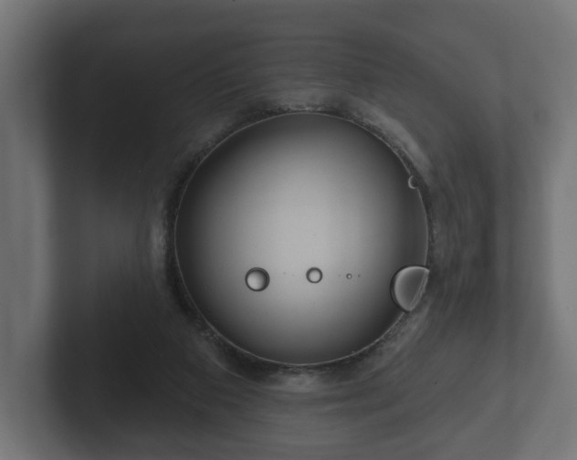 X0000102790113200808251037