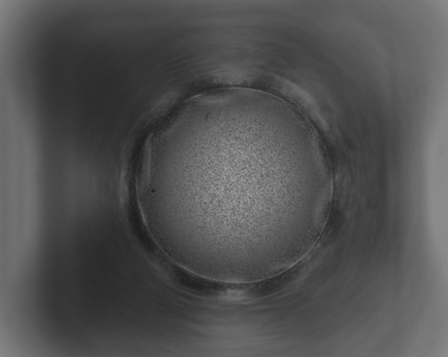 X0000102790114200808251037