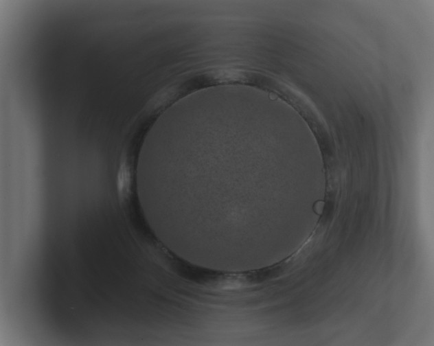 X0000102790124200808251036