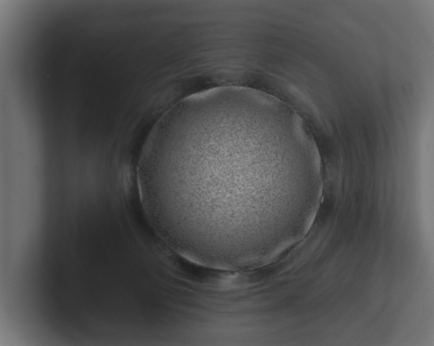 X0000102790130200808251036