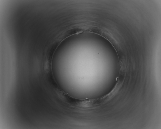 X0000102790136200808251036