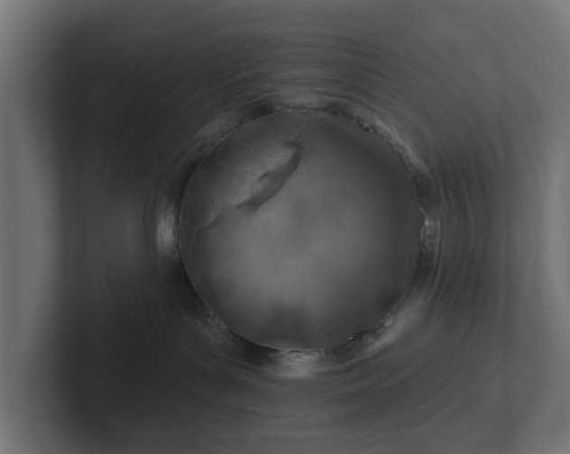 X0000102790143200808251036