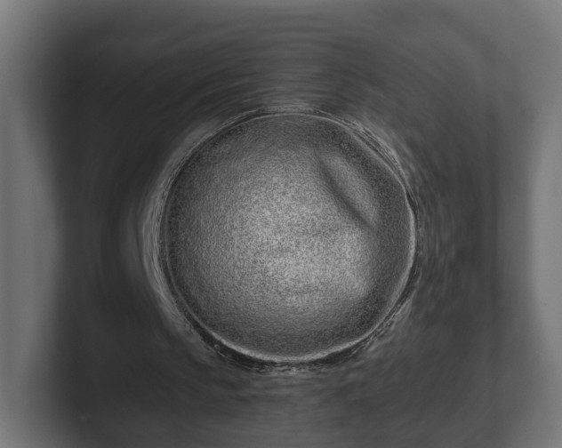 X0000102790145200808251035