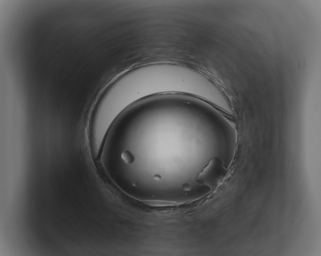 X0000102790146200808251035