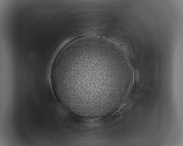 X0000102790147200808251035