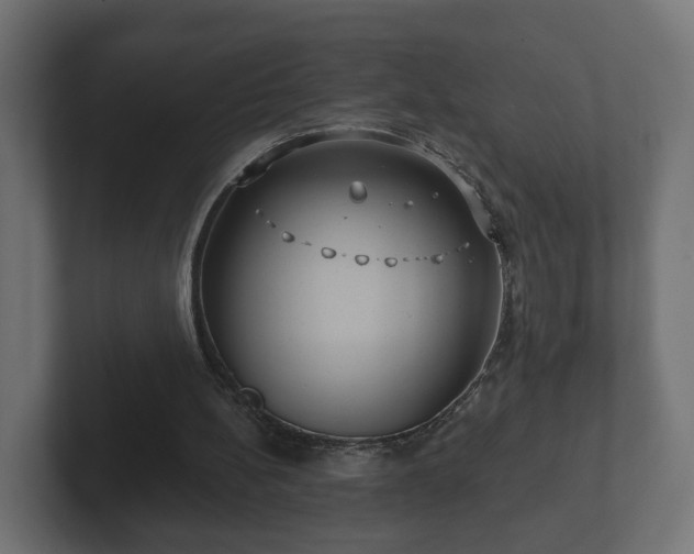 X0000102790148200808251035