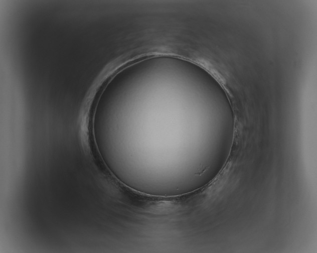 X0000102790151200808251035