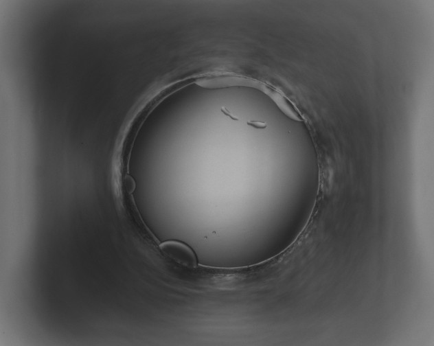 X0000102790152200808251035