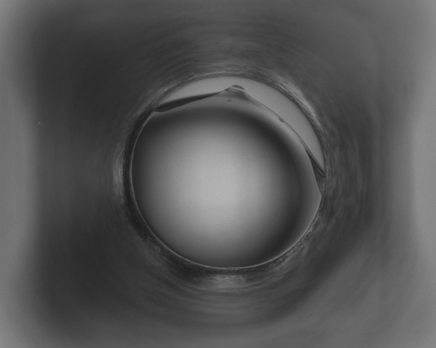 X0000102790154200808251035