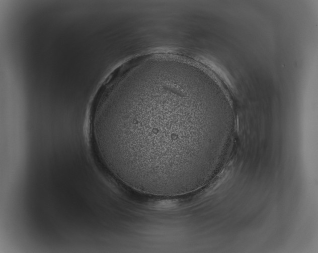 X0000102790156200808251035