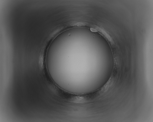 X0000102790159200808251036