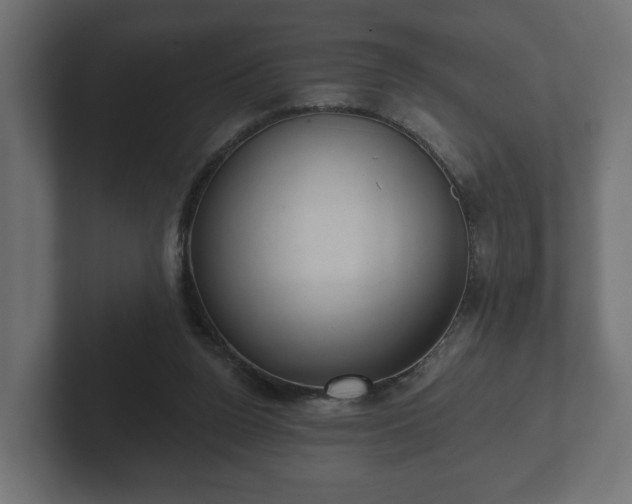 X0000102790160200808251036