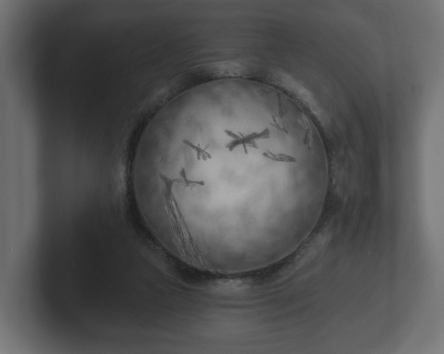 X0000102790161200808251036