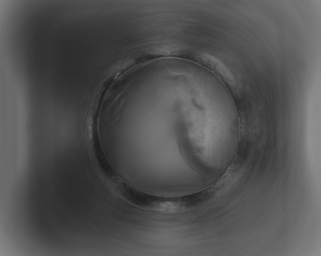 X0000102790163200808251036