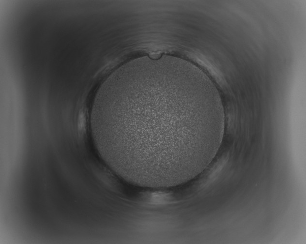 X0000102790165200808251036