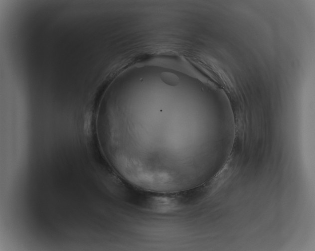 X0000102790167200808251036