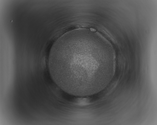 X0000102790169200808251036