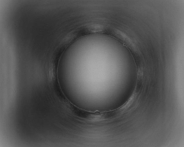 X0000102790170200808251036