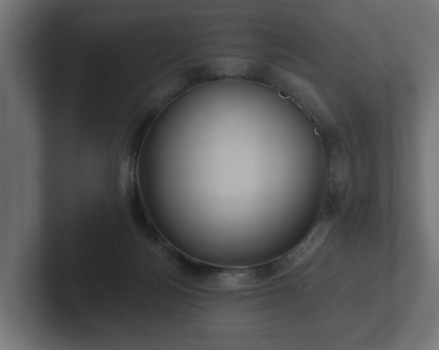 X0000102790172200808251036