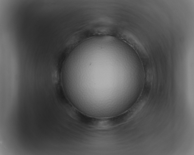 X0000102790173200808251036