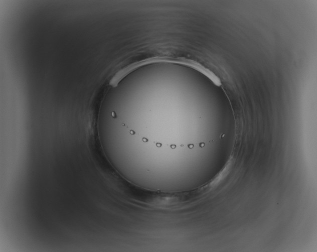 X0000102790174200808251036