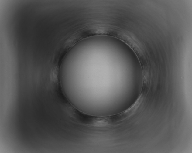 X0000102790175200808251036