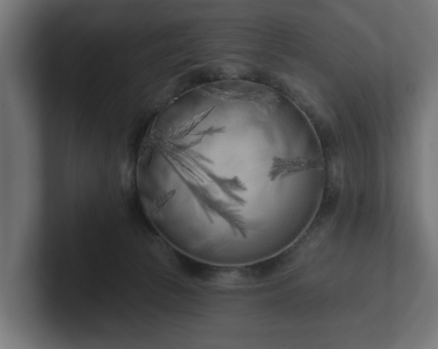 X0000102790177200808251036