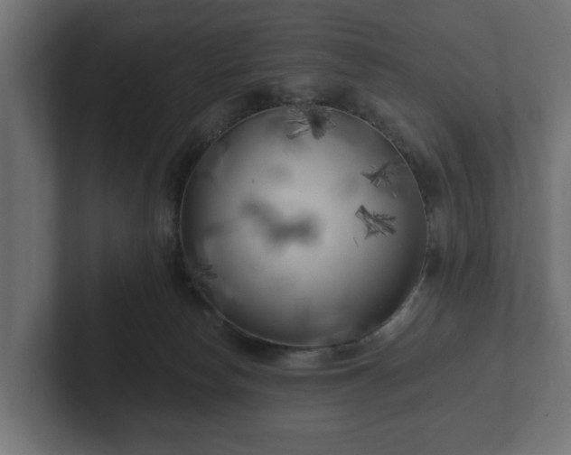 X0000102790178200808251036