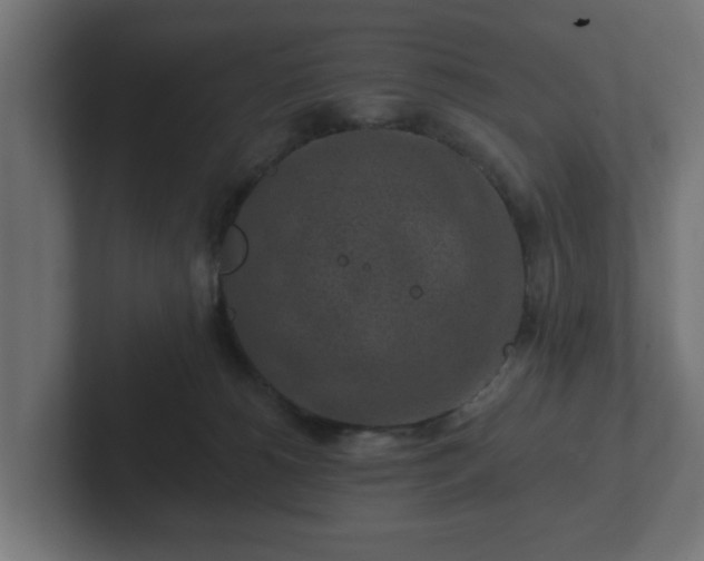 X0000102790180200808251036