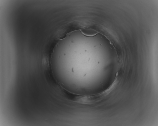 X0000102790182200808251036