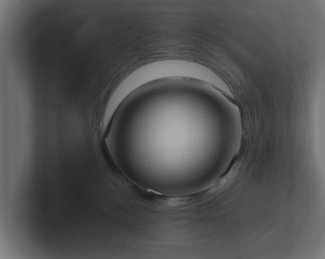 X0000102790184200808251036