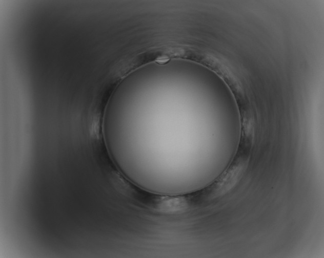 X0000102790185200808251036