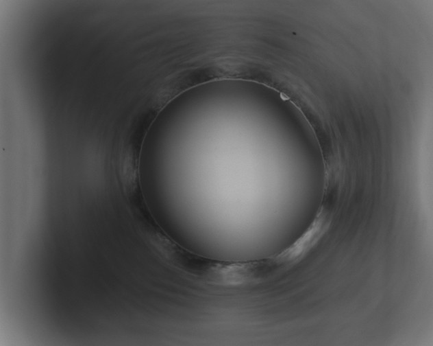 X0000102790186200808251036