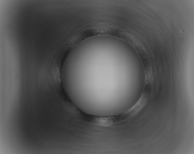 X0000102790187200808251036