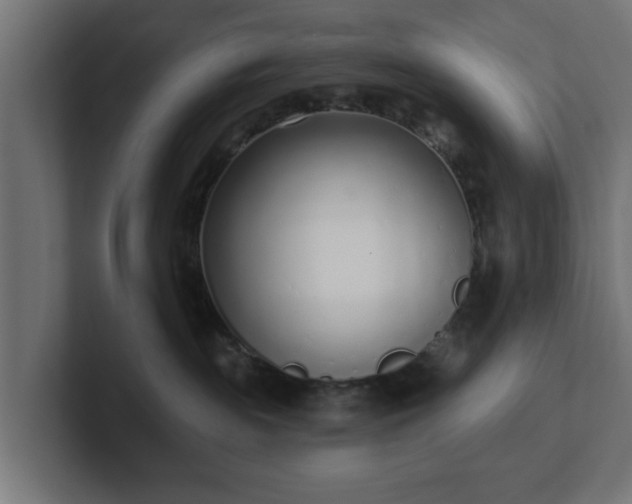 X0000102790189200808251036