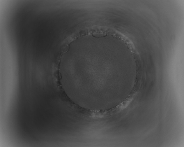 X0000102790192200808251036