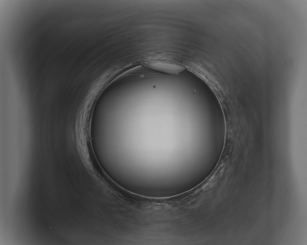 X0000102790193200808251035