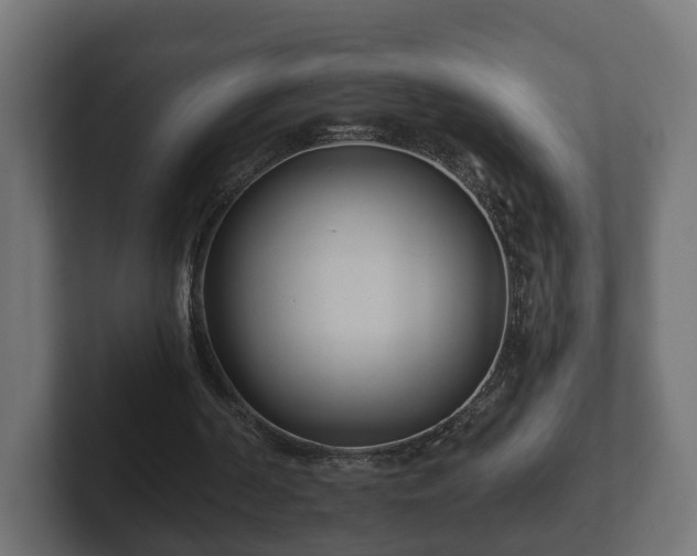 X0000102790194200808251035