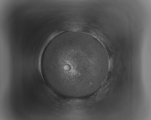 X0000102790195200808251035