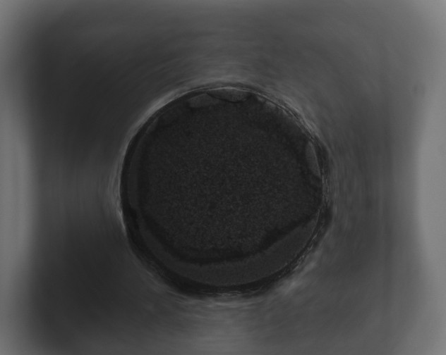 X0000102790196200808251035