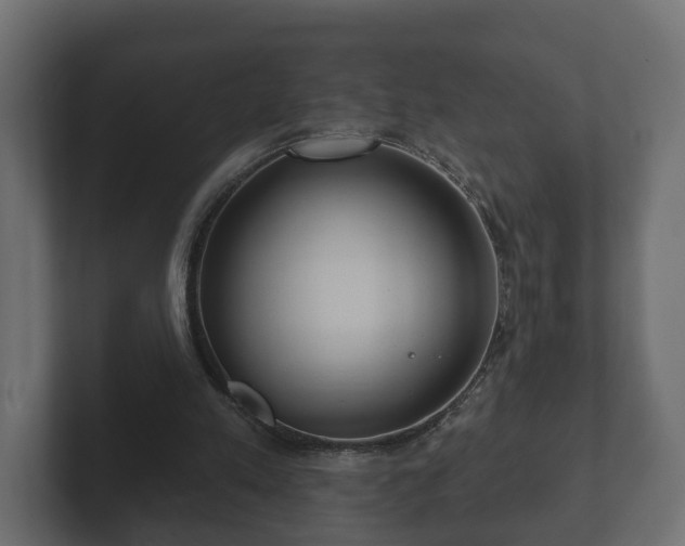 X0000102790197200808251035