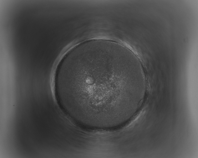 X0000102790199200808251035