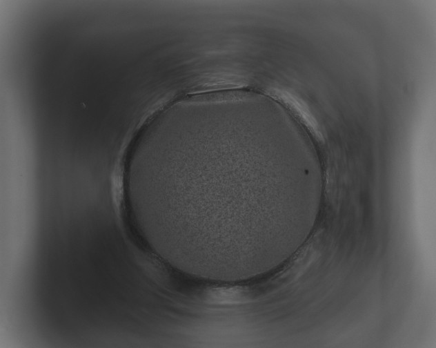 X0000102790202200808251035