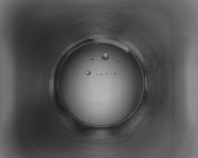 X0000102790204200808251035