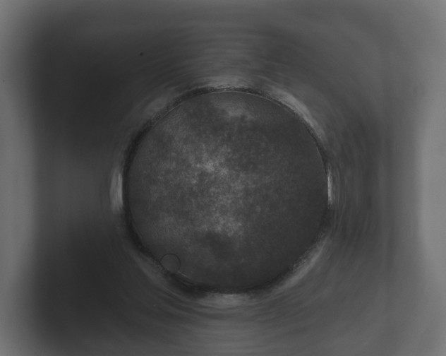 X0000102790205200808251035