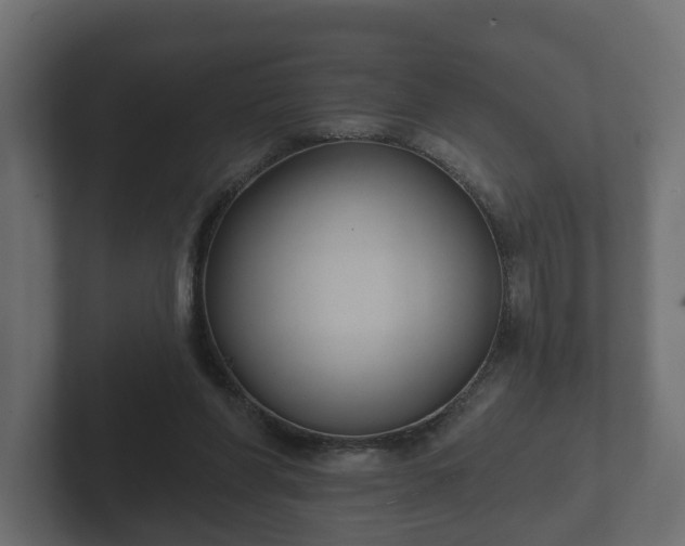 X0000102790206200808251035