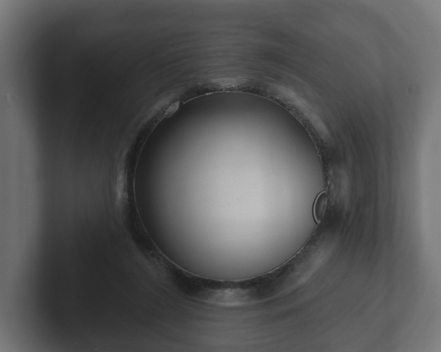 X0000102790212200808251035