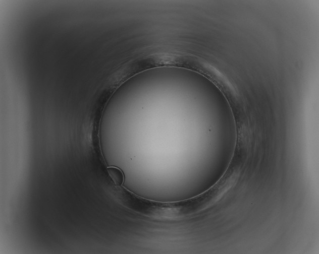 X0000102790217200808251035