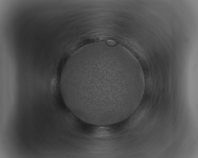 X0000102790222200808251035