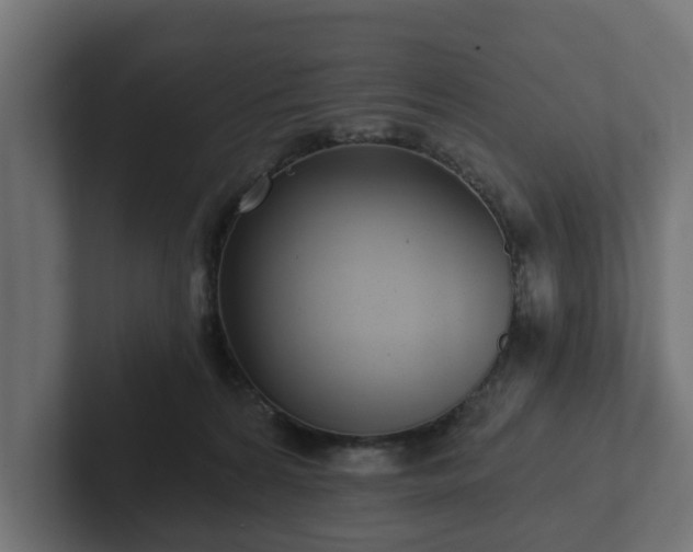 X0000102790224200808251035